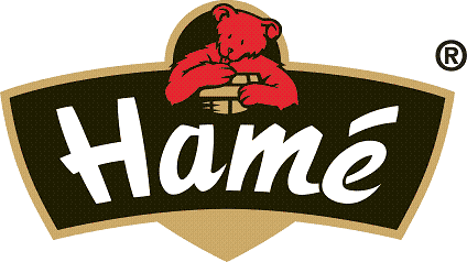 Hame logo