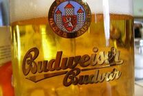 Budějovický Budvar loni vyvezl rekordní objem piva Budějovický Budvar loni vyvezl rekordní objem piva