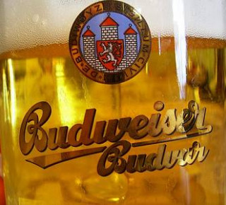 Budějovický Budvar loni vyvezl rekordní objem piva Budějovický Budvar loni vyvezl rekordní objem piva