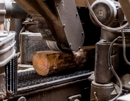 Pfeifer holz 19