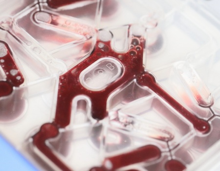 ustav hematologie cr 19